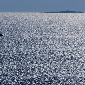 L'isola delle formiche sembra un sottomarino