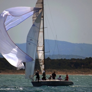 elba_memorial_anelli_03.jpg