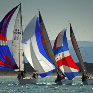 Regata memorial Emidio Anelli, 17 maggio 2008