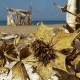 principina_a_mare_capanne_02_0