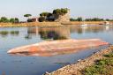 torre-delle-saline_albegna_.jpg