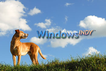 windows indy