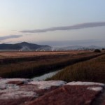 Fuochi dopo la trebbiatura