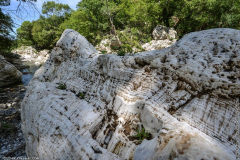 Albegna e Saturnia
