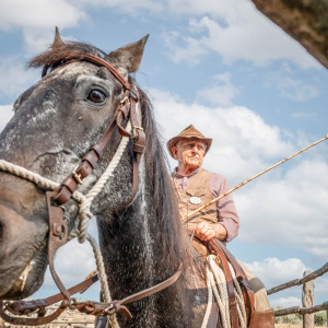 Butteri a Corte degli Ulivi