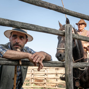 Butteri a Corte degli Ulivi