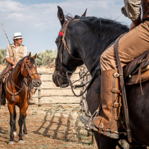 Butteri a Corte degli Ulivi