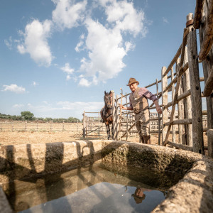 Butteri a Corte degli Ulivi