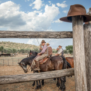 Butteri a Corte degli Ulivi