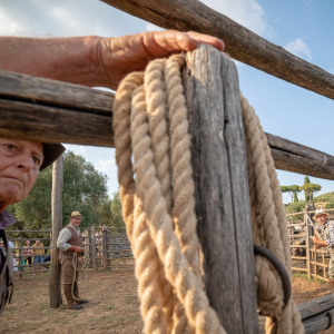 Butteri a Corte degli Ulivi