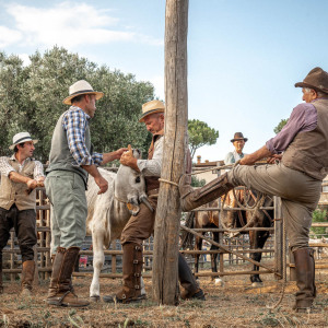 Butteri a Corte degli Ulivi
