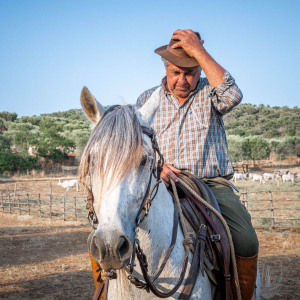 Butteri a Corte degli Ulivi