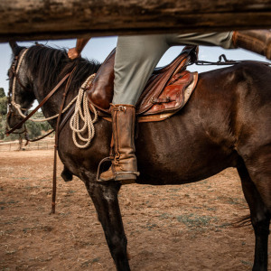 Butteri a Corte degli Ulivi
