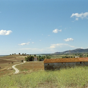 Colline nell'entroterra di Castiglione della Pescaia