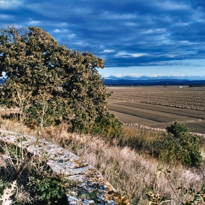 Mura sull'isola clodia