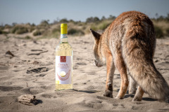farnullawines-3151