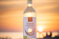 farnullawines-3235