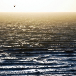 Mare mosso dalla collina di Castiglione della Pescaia