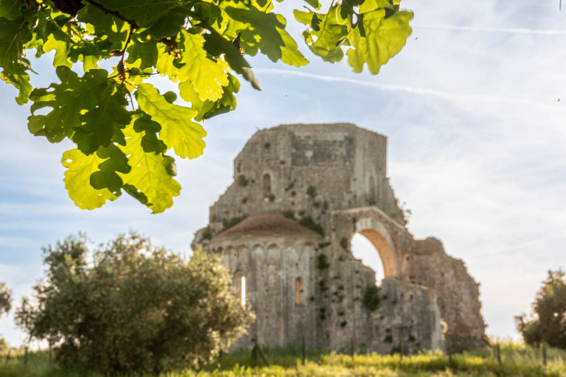 Abbazia di San Bruzio, Magliano
