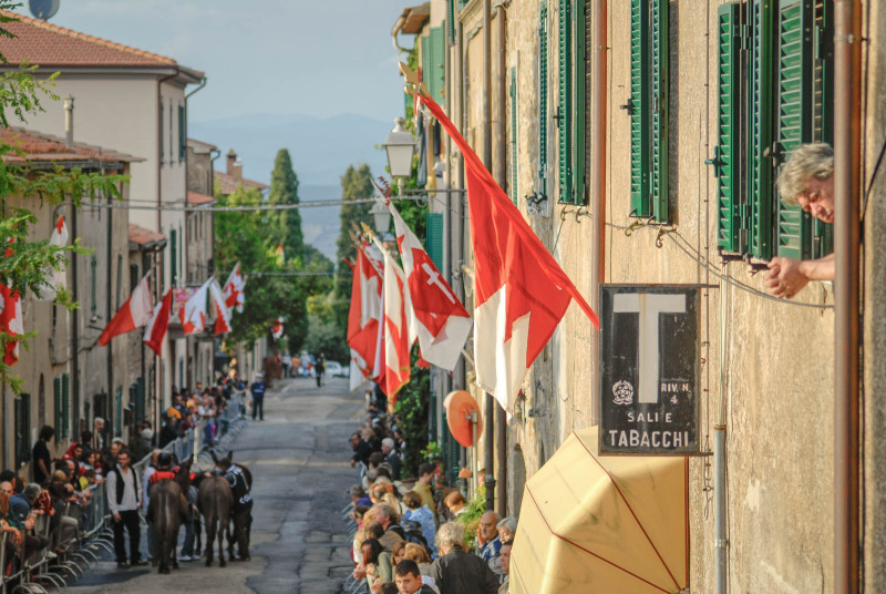 Corsa dei ciuchi a vetulonia