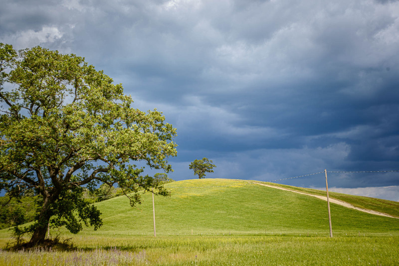 Collina in zona Saturnia
