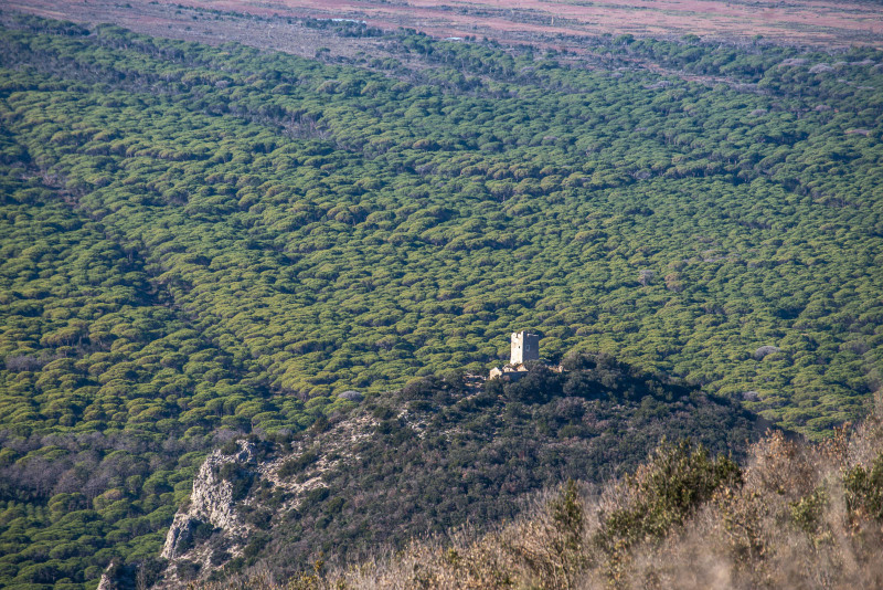 Parco della maremma