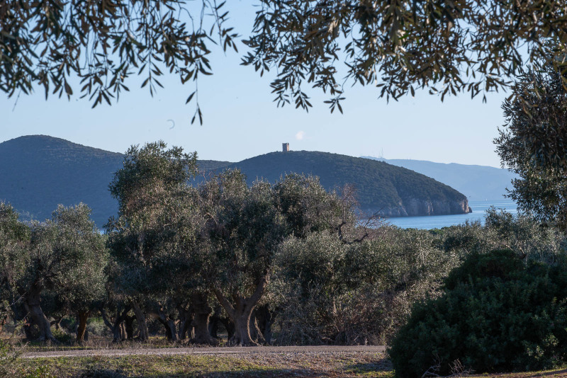 Parco della maremma
