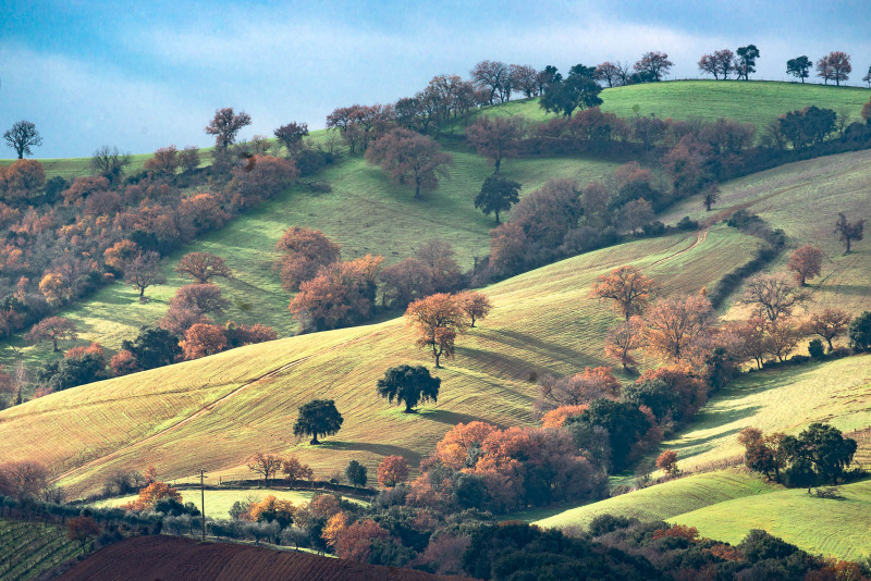 Colline di primavera