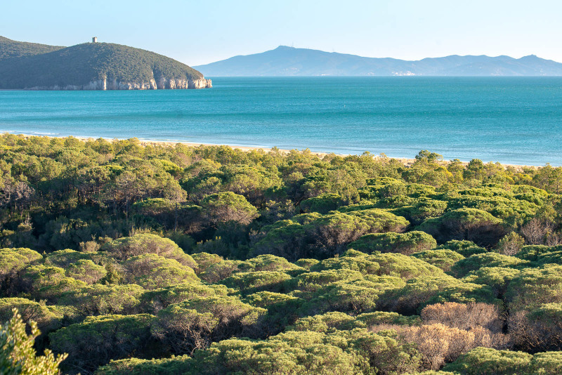 Parco della maremma