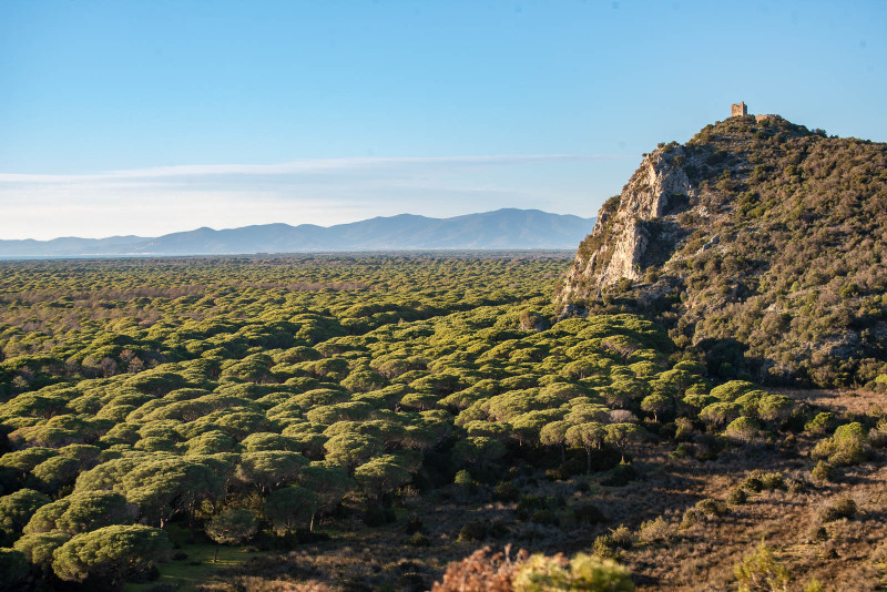 Parco della maremma