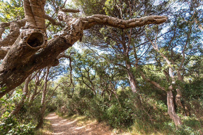 Orbetello, oasi del wwf sulla laguna e Patanella