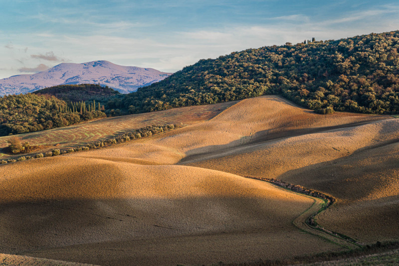 Panorama con Amiata, località Monetegiovi