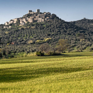 Piana verde, Montemassi