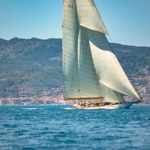 DSC2285