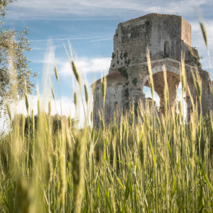 Abbazia di San Bruzio, Magliano
