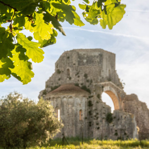 Abbazia di San Bruzio, Magliano