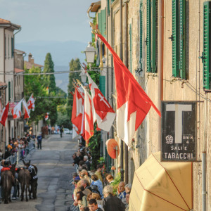 Corsa dei ciuchi a vetulonia