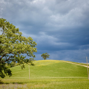 Collina in zona Saturnia
