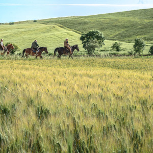 Butteri sulla via Clodia