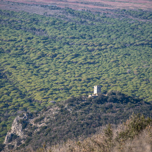 Parco della maremma