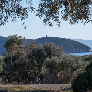 Parco della maremma