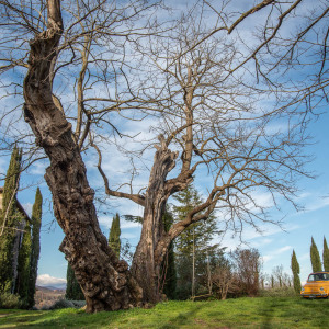Sorano