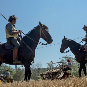 Mietitura e trebbiatura a Spadino Grancia