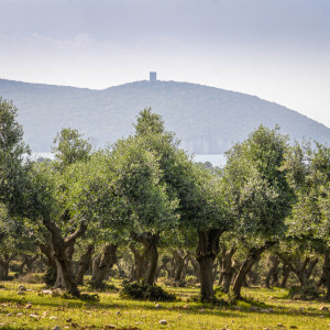 Parco della Maremma