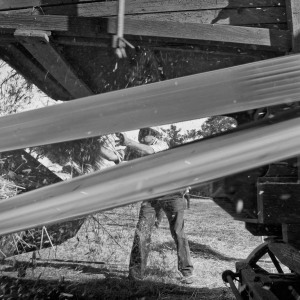 Mietitura e trebbiatura a Spadino Grancia