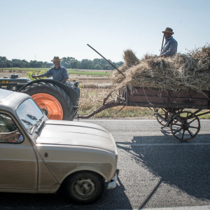 Mietitura e Trebbiatura