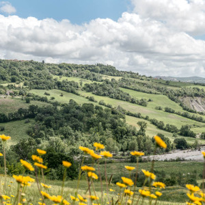 Fonte nuova