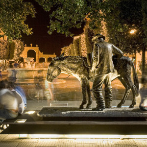 L'Asino e il Contadino