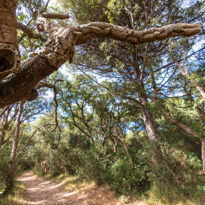 Orbetello, oasi del wwf sulla laguna e Patanella