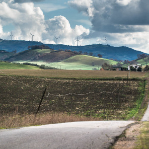 Colline